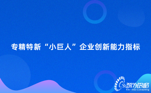 專精特新“小巨人”企業創新能力指標.jpg