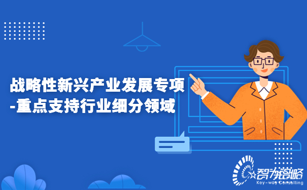 戰略性新興產業發展專項-重點支持行業細分領域.jpg