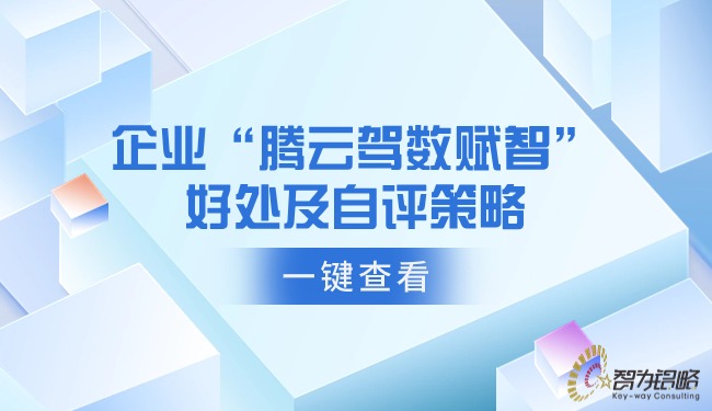 企業“騰云駕數賦智”的好處及自評策略.jpg