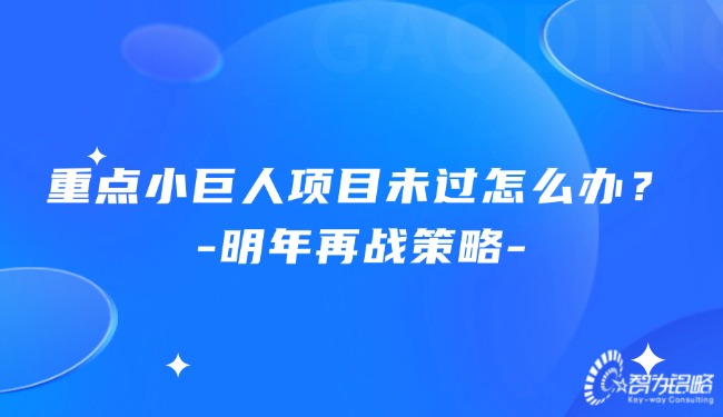 重點(diǎn)小巨人項(xiàng)目未過(guò)怎么辦？明年再戰(zhàn)策略.jpg